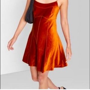 Wild Fable NWT Velvet Dress